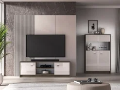Avante 06 dąb windmill / MDF cashmere połysk - RTV 2D
