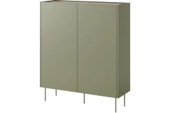 DESIN KREDENS 120 2D2SZ - oliwka / dąb nagano