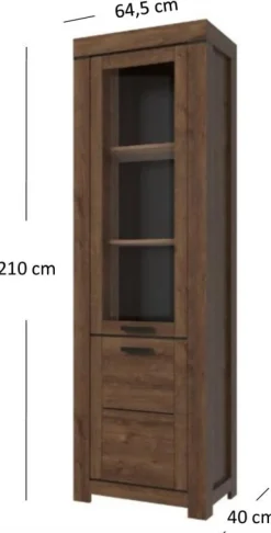 Elegancka witryna do salonu Brass 1d1w
