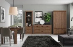 Elegancka witryna do salonu Brass 1d1w