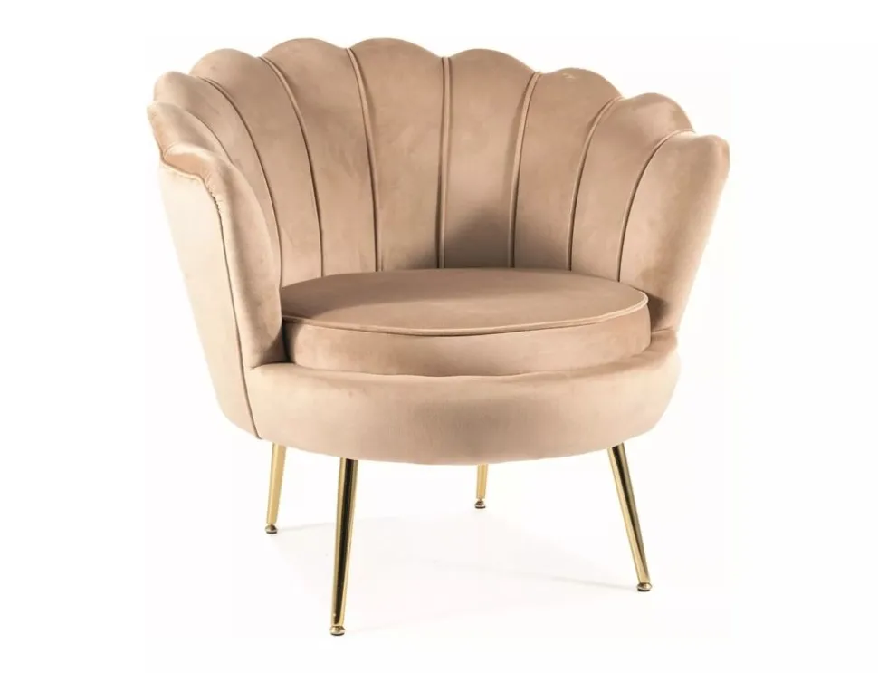 Fotel Camellia 1 Velvet