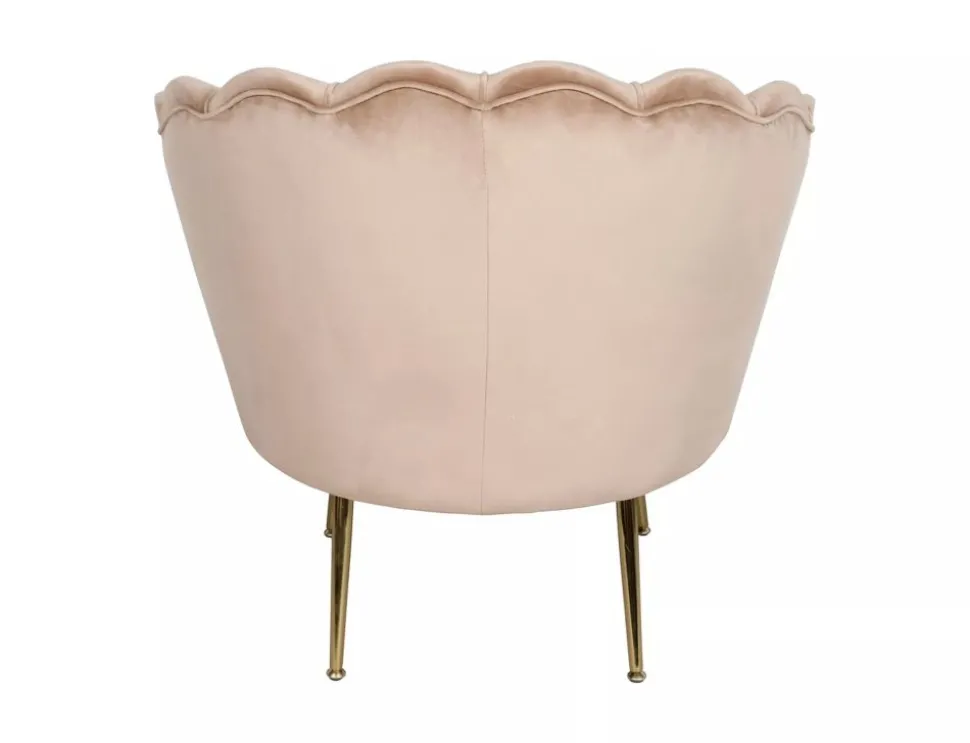 Fotel Camellia 1 Velvet
