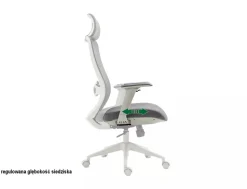 Fotel obrotowy Ergon