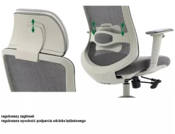 Fotel obrotowy Ergon