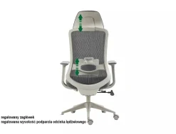 Fotel obrotowy Ergon