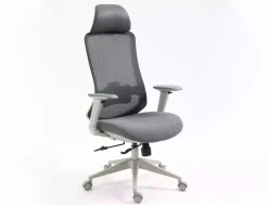 Fotel obrotowy Ergon