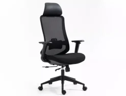 Fotel obrotowy Ergon