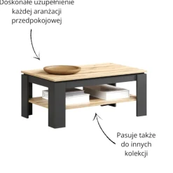 Nowoczesny stolik kawowy w kolorze grafit/dąb evok Esteban