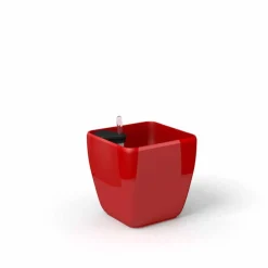 Quadra reprezentacyjna donica w kolorze czerwonym z wkładem nawadniającym 22x22x21