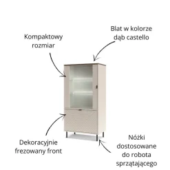 Szeroka witryna loftowa do salonu EVO 1D1W kaszmir / dąb castello EO-07