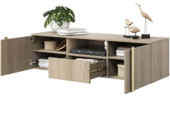 VERICA RTV 150 2D1SZ - dąb biszkoptowy / złote uchwyty / wisząca