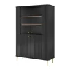 VESPER WITRYNA 103 2D - czarny mdf / czarny mdf / złote nogi